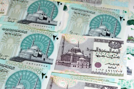 Photo for Old 20 LE VS new Egyptian 20 EGP LE twenty polymer pounds cash money banknote bill features Mohamed Ali Mosque, adorned with tactile ADA Braille dots, queen Cleopatra, Great Pyramid, pharaonic chariot - Royalty Free Image