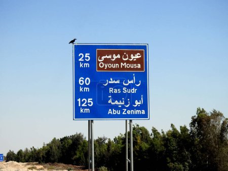 Téléchargez les photos : Un panneau de signalisation routière en arabe et en anglais montre la distance à Oyoun Mousa 25 KM, Ras Sudr ville 60 KM et Abu Zenima 125 KM sur Sharm El Sheikh Road dans la ville du Sud Sinaï, Egypte, foyer sélectif - en image libre de droit
