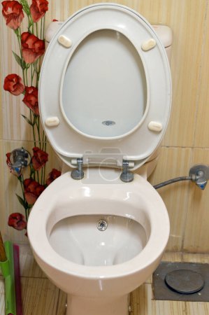 Téléchargez les photos : Gizeh, Egypte, 1 Décembre 2023 : Idéal toilette à chasse d'eau standard, un morceau de matériel sanitaire qui recueille l'urine et les excréments humains, cuvette de toilette et siège en utilisant de l'eau, Ideal Standard est un appareil de plomberie CO - en image libre de droit