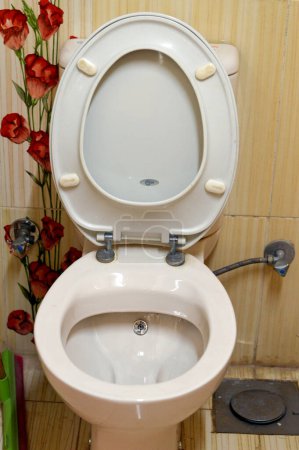 Téléchargez les photos : Gizeh, Egypte, 1 Décembre 2023 : Idéal toilette à chasse d'eau standard, un morceau de matériel sanitaire qui recueille l'urine et les excréments humains, cuvette de toilette et siège en utilisant de l'eau, Ideal Standard est un appareil de plomberie CO - en image libre de droit