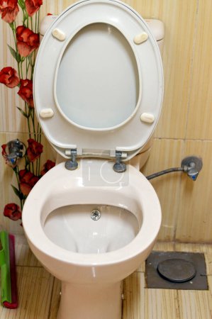Téléchargez les photos : Toilettes, un morceau de matériel sanitaire qui recueille l'urine et les excréments humains, cuvette et siège de toilette, une toilette à chasse d'eau qui utilise de l'eau, conçu pour une position assise avec un siège dans un WC toilettes - en image libre de droit