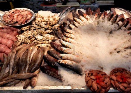 Fresh seafood of Tilapia fish, Mackerel fish, Saurida undosquamis, the brushtooth lizardfish, large-scale grinner or largescale saury, crabs, clams, mussels, oysters and also called gandofly gandofli