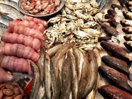 Fresh seafood of Tilapia fish, Mackerel fish, Saurida undosquamis, the brushtooth lizardfish, large-scale grinner or largescale saury, crabs, clams, mussels, oysters and also called gandofly gandofli