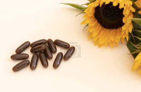 Photo for Top View Lecithin Supplement, Brown Softgel Pills on Beige Background with Sunflower Plant. Dietary Capsule or Herbal Supplement, Healthy Lifestyle. Horizontal Plane High quality photo - Royalty Free Image