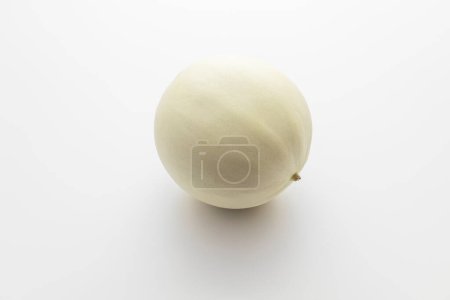 Isolierte Bio-Honigtau-Melone auf weißem Hintergrund, Cucumis Melo Inodorus Group. Reifes nahrhaftes Sommersaftobst. Horizontale Ebene. Ernten. Hochwertiges Foto