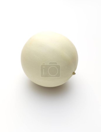 Isolated Organic Honeydew Melon On White Background, Cucumis Melo Inodorus Group. Ripe Nutritious Summer Juicy Fruit. Vertical Plane. Harvesting. High quality photo