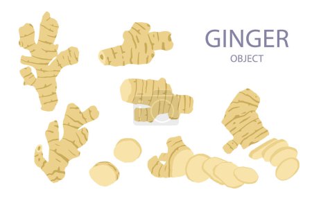 Illustration for Ginger object for health on white background - Royalty Free Image