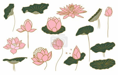 Illustration for Pink lotus object desing for postcard - Royalty Free Image