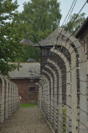 Téléchargez les photos : Intérieurs et collections au Mémorial juif nazi de l'Holocauste Auschwitz, bâtiments en briques, Pologne - en image libre de droit