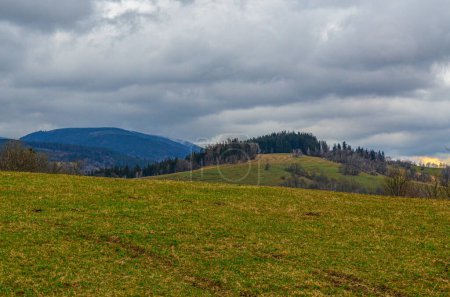 una vista de un campo verde con un día nublado