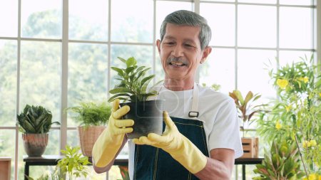 Photo for Smiling face of senior gardener Asian man holding plant trees pot relaxing in garden green house - Royalty Free Image