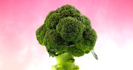 Téléchargez les photos : Brocoli vert frais sur fond rose, Légumes pour la santé - en image libre de droit