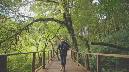 Téléchargez les photos : Vue arrière de la femme portant un sac à dos voyage seul dans la forêt le week-end - en image libre de droit