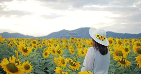Téléchargez les photos : Femme debout dans le champ de tournesol jaune regardant la vue sur la montagne et beau coucher de soleil du soir - en image libre de droit