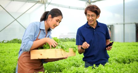 Téléchargez les photos : Agriculteur asiatique femme tenant boîte récolte vert chêne légumes parler avec client asiatique homme pour les légumes biologiques de la ferme exportation vers le marché - en image libre de droit