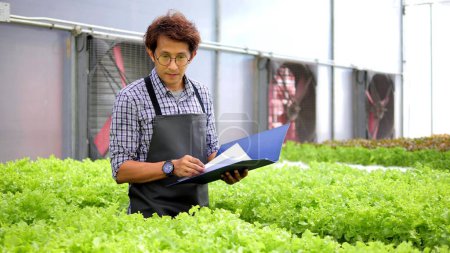 Photo for Asian male farmer owner checking quality and quantity of organic hydroponic vegetable garden at greenhouse farm. Organic vegetables cultivate in water, Agriculture business - Royalty Free Image
