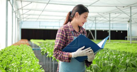 Photo for Young Asian woman farmer or owner of organic vegetable farm checking quality of organic lettuce to report at greenhouse hydroponics. Business agriculture technology concept - Royalty Free Image
