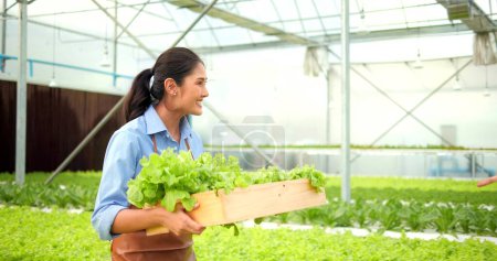 Photo for Happy young asian woman farmer holding organic lettuce on hands in greenhouse garden.  Organic hydroponics vegetable farm, Healthy and vegan food concept - Royalty Free Image