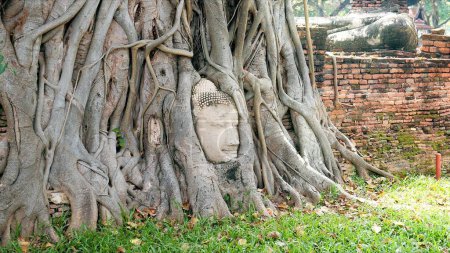 Photo for Ayutthaya buddha head in tree roots, Buddhist temple Wat Mahathat in thailand. Amazing Thailand travel concept - Royalty Free Image