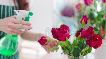 Téléchargez les photos : Gros plan main de la femme fleuriste pulvériser de l'eau sur les fleurs de rose rouge ajouter de l'humidité et de la vitalité aux fleurs et d'empêcher la fleur de flétrir dans un magasin de fleurs. Concept de fleuriste - en image libre de droit