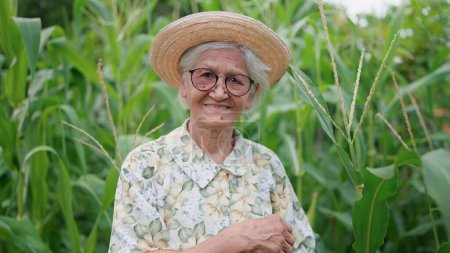 Foto de Retrato de feliz sonrisa Asiática anciana con sombrero y mirando a la cámara de pie en el maizal. Mujer anciana jardinería y plantas en crecimiento en el jardín. Estilo de vida de la jubilación - Imagen libre de derechos