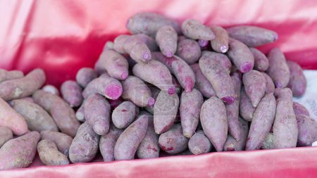 Photo for Healthy vegetable purple sweet potato in the market. Purple sweet potatoes. Purple sweet potatoes. Diet and Healthy food of Delicious sweet potato. Plant and fruit concept - Royalty Free Image