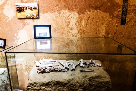 Foto de TARGOVISTE, ROMANIA - JULY 29, 2022: Museum of Human Evolution and Technology in the Paleolithic. - Imagen libre de derechos