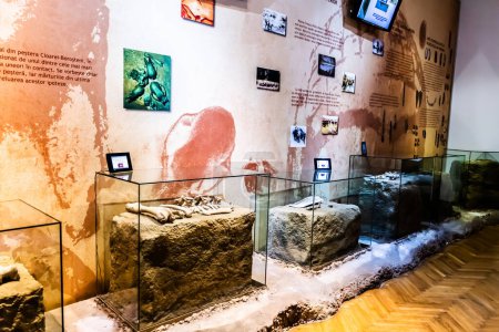 Téléchargez les photos : TARGOVISTE, ROMANIA - JULY 29, 2022: Museum of Human Evolution and Technology in the Paleolithic. - en image libre de droit