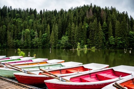 Téléchargez les photos : Paysage du lac Rouge par un jour de pluie. Lac Rouge, lac barrage naturel formé à la suite de l'effondrement d'une pente due à un tremblement de terre. Harghita, Roumanie. - en image libre de droit