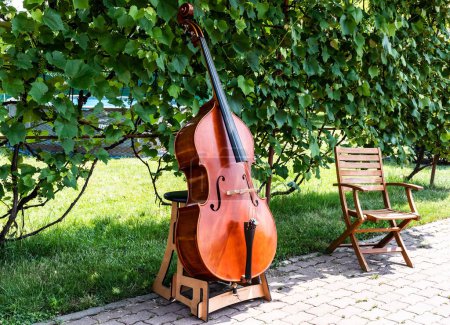 Foto de REGHIN, RUMANIA - 27 DE JUNIO DE 2023: Doble bajo expuesto en el patio de un artista luthier. - Imagen libre de derechos