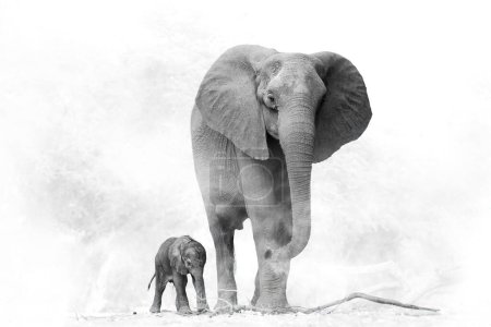 Téléchargez les photos : L'éléphant nouveau-né suit les pattes et la queue de son éléphant mère dans un nuage de poussière. Vue latérale, artistique, post-traitement noir et blanc. Sentiments de maternité, de protection, de confiance, de suite. - en image libre de droit