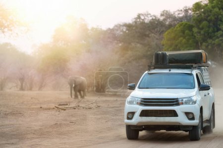 Photo for On selfdrive safari in Zimbabwe: white safari car with tent on the roof, driving along the banks of the Zambezi River, people observing African nature in the Mana Pools park. - Royalty Free Image