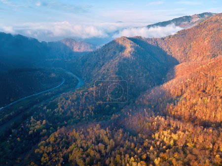 Téléchargez les photos : Vue aérienne du paysage montagneux avec soleil couchant : arbres d'automne jaunes, orange et rouges dans une forêt colorée. Hêtre rouge forêt d'automne couvrant les montagnes et la vallée. Région de Strecno, Slovaquie. - en image libre de droit
