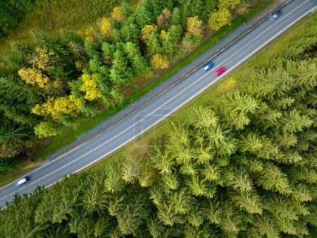 Téléchargez les photos : Vue aérienne perpendiculaire : forêt d'automne colorée d'en haut avec route sinueuse vide - en image libre de droit