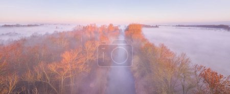Photo for Panoramic photo of a floodplain forest landscape: trees and houses rise out of the low fog, illuminated by the sun. Pastel colours, calm mood, ground fog, frosty morning. No Snow Winter, Czech. - Royalty Free Image