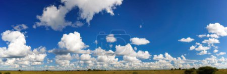 Photo for Panorama of Nxai Pan National Park, Botswana. Big sky country, typical cotton-like cumulus clouds on blue sky above savanna shortly after rainy season. - Royalty Free Image