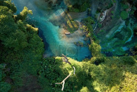 Foto de Agua clara, azul-verde de un arroyo de montaña en el bosque de roble y sicómoro, vista panorámica de la naturaleza pura genuina, aérea, vista perpendicular. Viajar por Albania. - Imagen libre de derechos