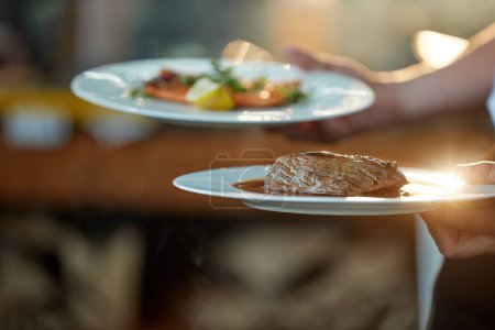 Téléchargez les photos : Servir de la nourriture à la Garden Party. Deux assiettes à la main, avec steak et saumon, colorées, rétro-éclairage flou, faible profondeur de champ, vapeur rétro-éclairée provenant de la nourriture. - en image libre de droit