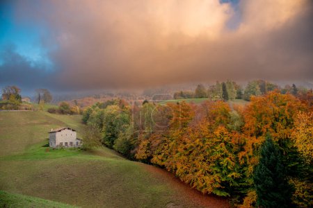 Téléchargez les photos : Colline avec des arbres en automne - en image libre de droit