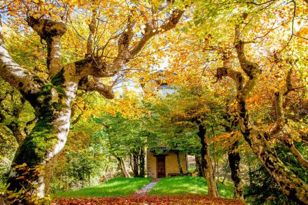 Téléchargez les photos : Chalet entouré par la nature en automne - en image libre de droit