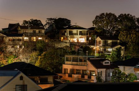 Téléchargez les photos : Grandes maisons à flanc de colline entre les arbres la nuit. Photo de haute qualité - en image libre de droit