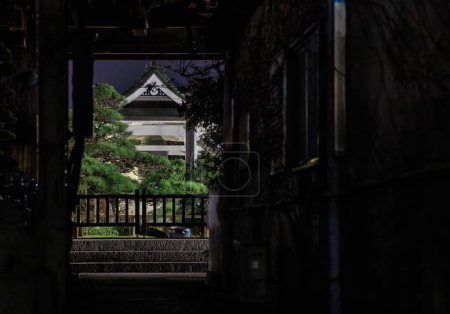 Foto de La pasarela oscura se abre al jardín tradicional japonés en el templo. Foto de alta calidad - Imagen libre de derechos