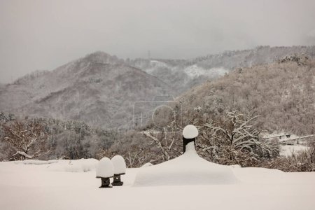Téléchargez les photos : Snow piles on objects with forested mountain landscape in winter. High quality photo - en image libre de droit