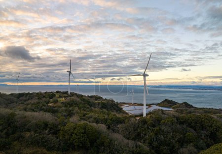 Photo for Wind Turbines Over Small Solar Farm in Green Landscape by Sea at Sunset. High quality photo - Royalty Free Image