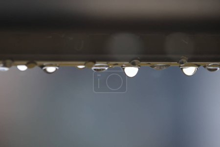 Photo for Closeup Water Drops Dripping from Underside of Pipe. High quality photo - Royalty Free Image