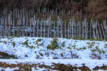 Foto de Las estacas de madera afiladas forman un perímetro defensivo en la ladera nevada. Foto de alta calidad - Imagen libre de derechos