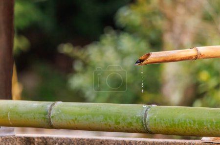 Téléchargez les photos : L'eau coule du tuyau de bambou dans le lavabo du sanctuaire japonais. Photo de haute qualité - en image libre de droit
