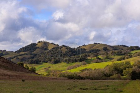 Sunlight on green rolling hills in Northern California landscape. High quality photo