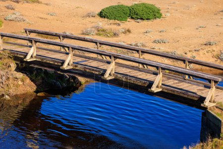 Téléchargez les photos : Passerelle en bois au-dessus de l'eau bleue dans les dunes sèches du désert. Photo de haute qualité - en image libre de droit