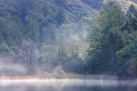 Photo for Early morning mist rises from lake by green forested hillside. High quality photo - Royalty Free Image